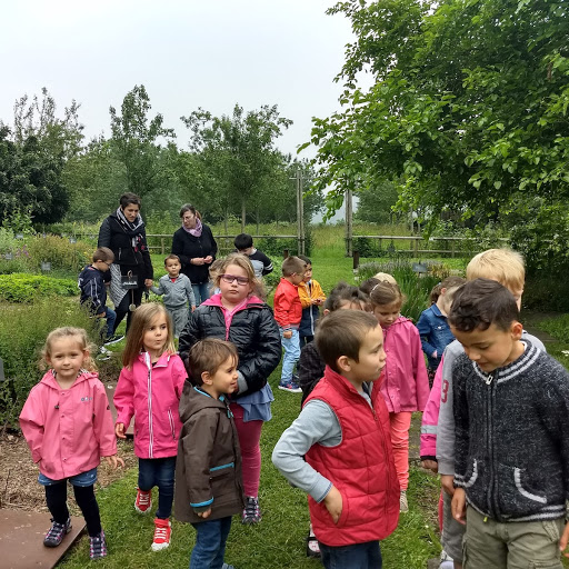 Les maternelles à la Roche -Jagu