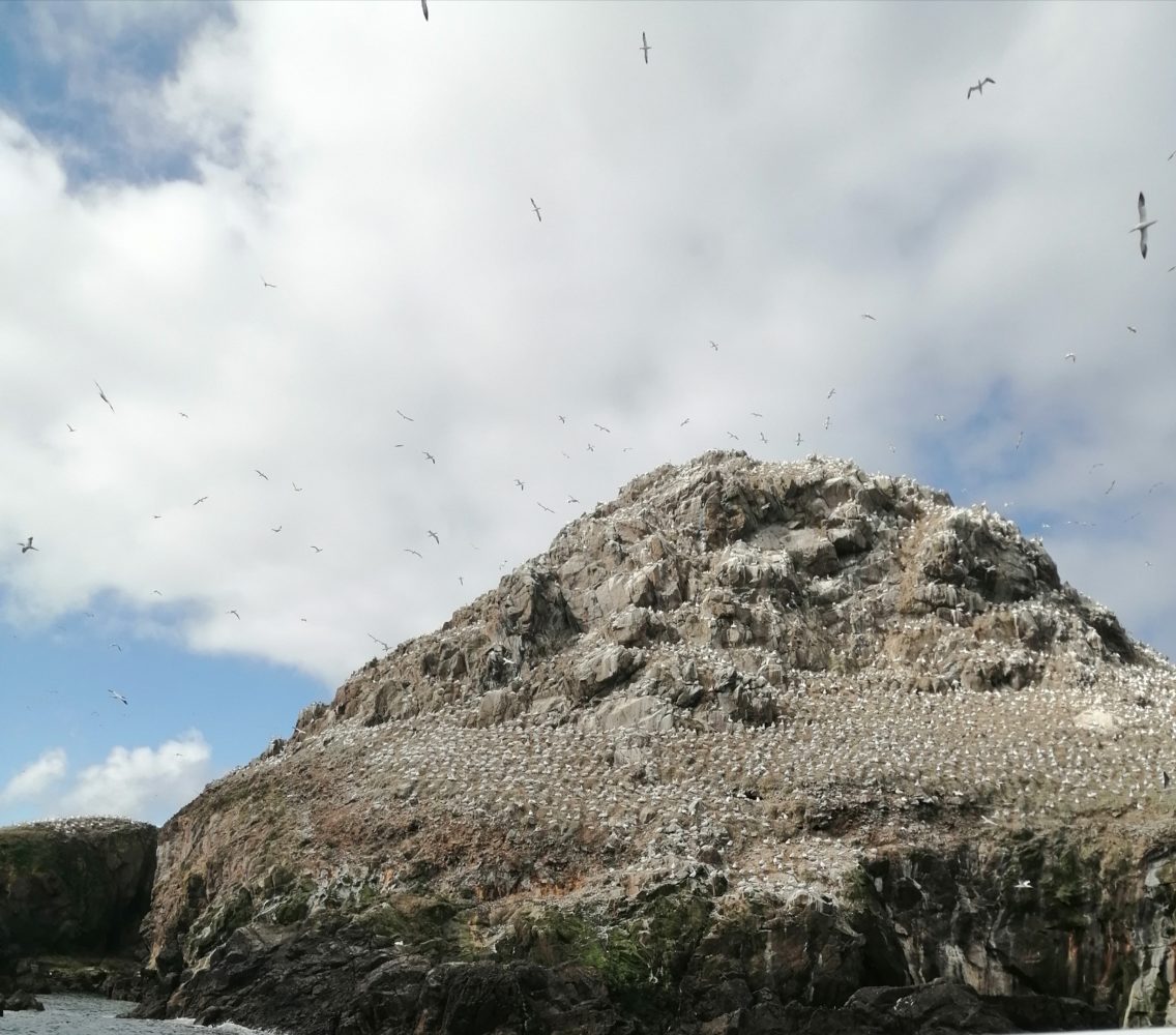 Sortie aux 7 îles.