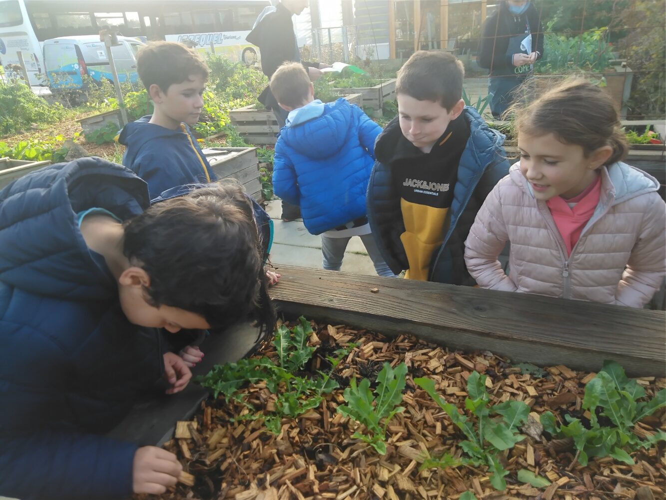 Observation des petites bêtes