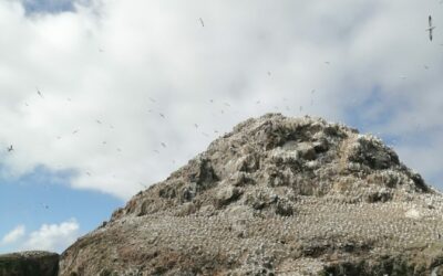 Sortie aux 7 îles.